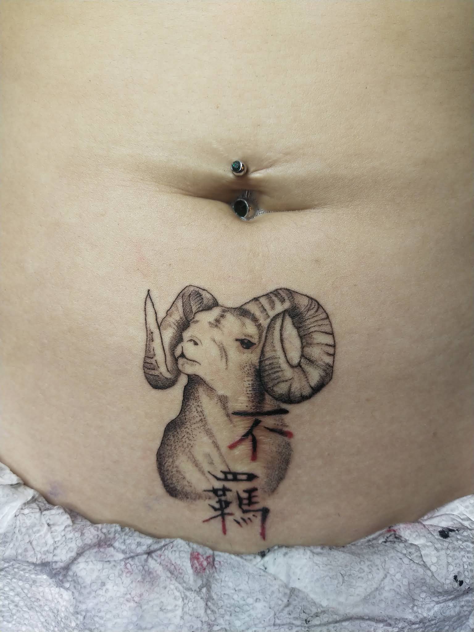 Black and grey ram head portrait with Chinese characters and red accents on stomach