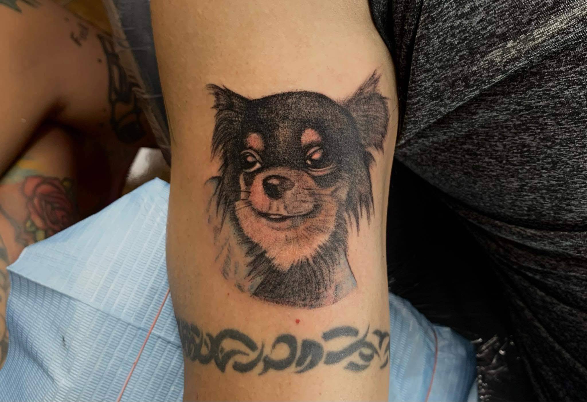 Black and grey realistic chihuahua dog pet portrait tattoo on upper arm